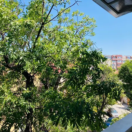 Lejlighed Bright & Cozy For 4 Guests In Centre *